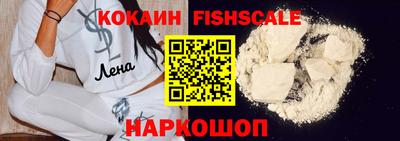 ECSTASY Гай