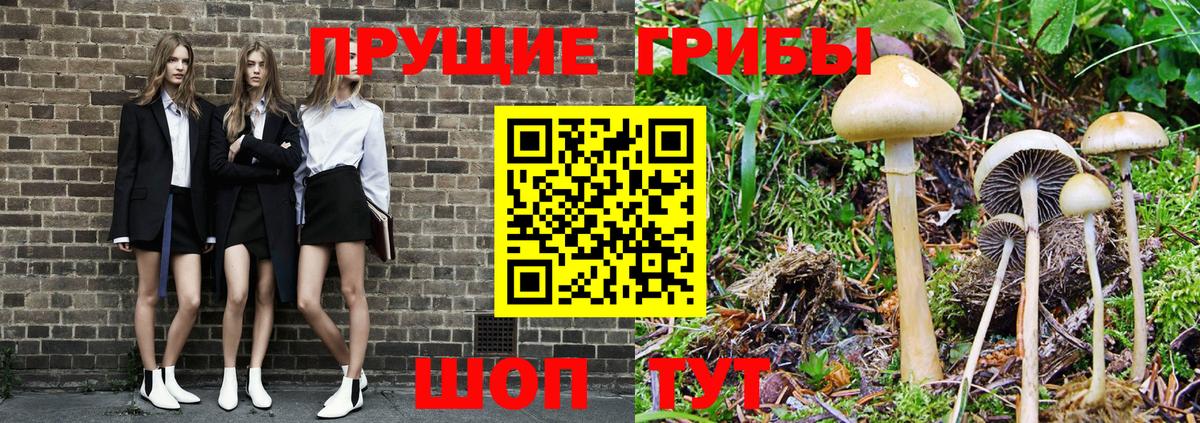 Галлюциногенные грибы Cubensis Коломна